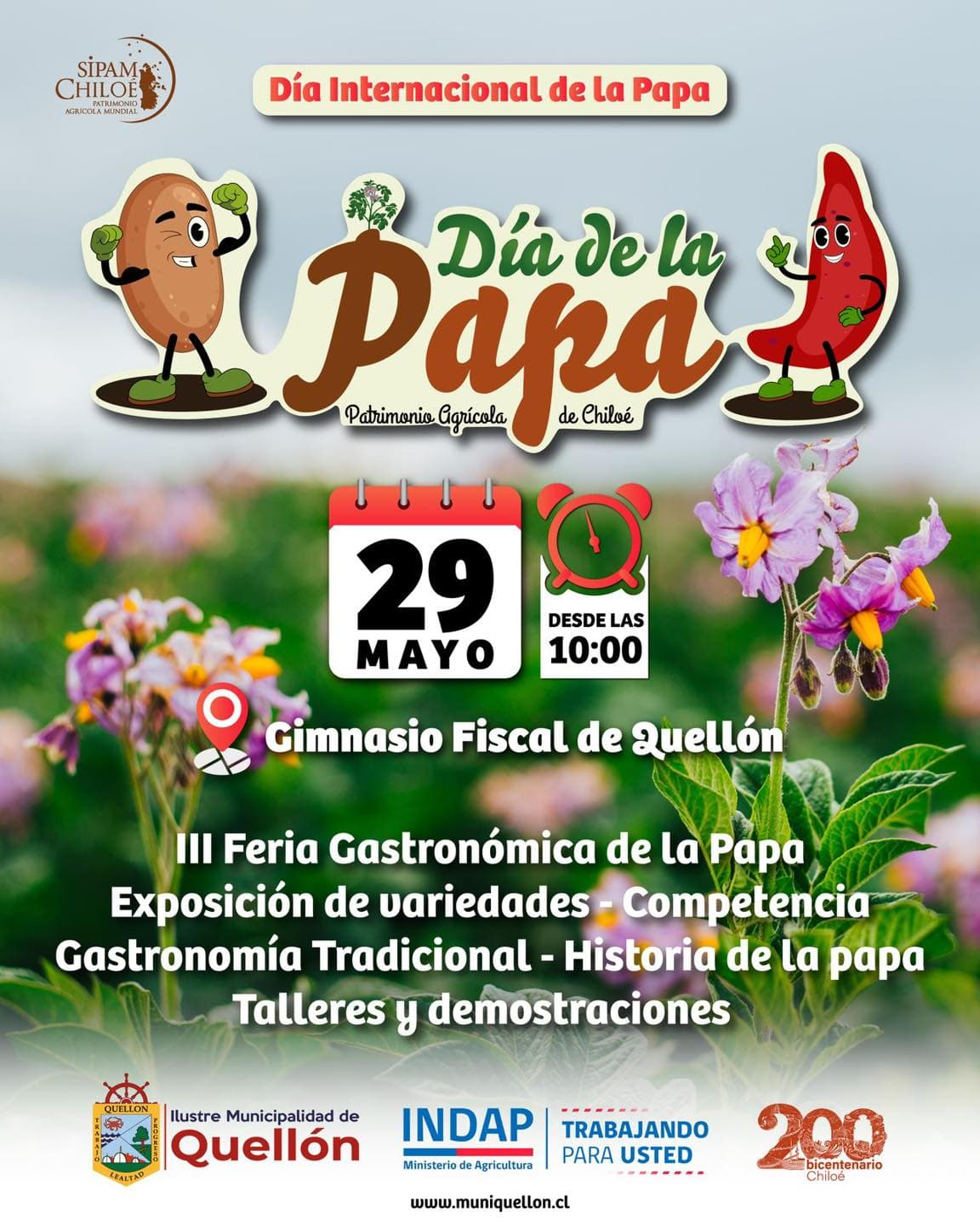 Día Internacional de la Papa en Quellón 🥔